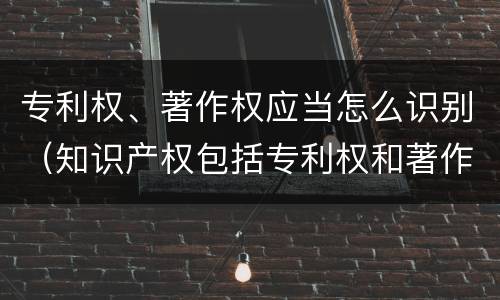 专利权、著作权应当怎么识别（知识产权包括专利权和著作权吗）