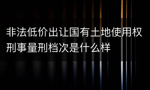 非法低价出让国有土地使用权刑事量刑档次是什么样