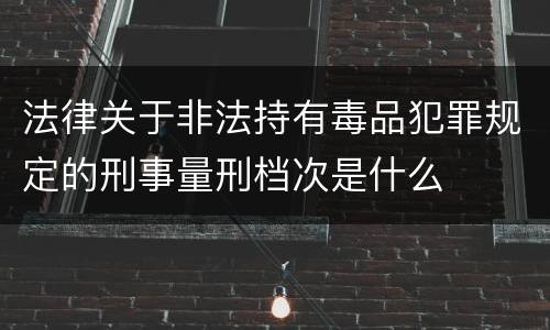 法律关于非法持有毒品犯罪规定的刑事量刑档次是什么