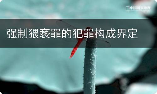 强制猥亵罪的犯罪构成界定