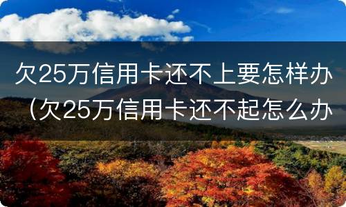 欠25万信用卡还不上要怎样办（欠25万信用卡还不起怎么办）
