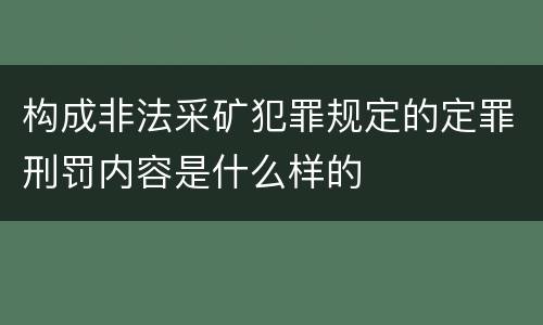 构成非法采矿犯罪规定的定罪刑罚内容是什么样的