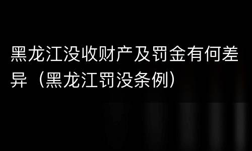 黑龙江没收财产及罚金有何差异（黑龙江罚没条例）