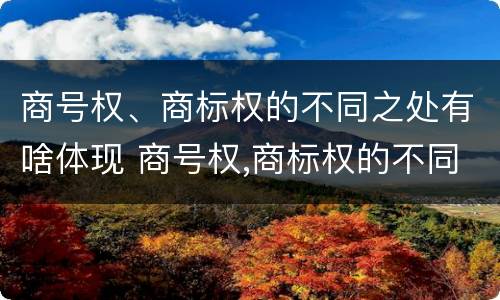 商号权、商标权的不同之处有啥体现 商号权,商标权的不同之处有啥体现
