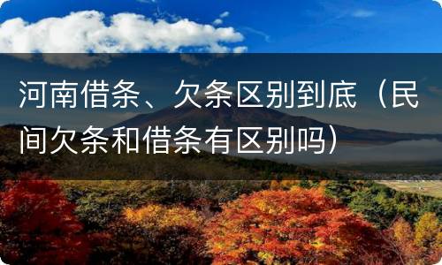河南借条、欠条区别到底（民间欠条和借条有区别吗）