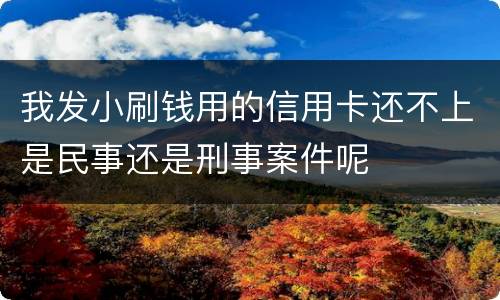 我发小刷钱用的信用卡还不上是民事还是刑事案件呢