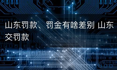 山东罚款、罚金有啥差别 山东交罚款