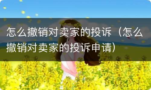 怎么撤销对卖家的投诉（怎么撤销对卖家的投诉申请）