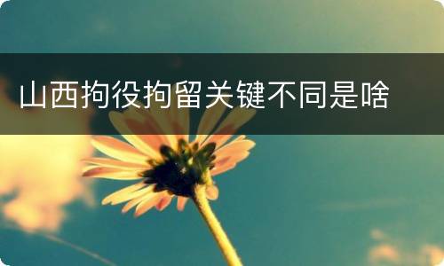 山西拘役拘留关键不同是啥