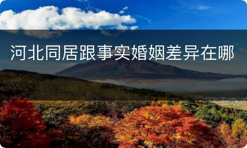河北同居跟事实婚姻差异在哪