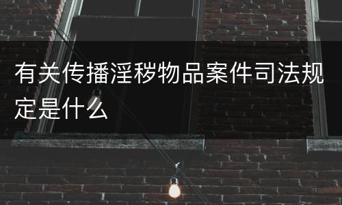 有关传播淫秽物品案件司法规定是什么