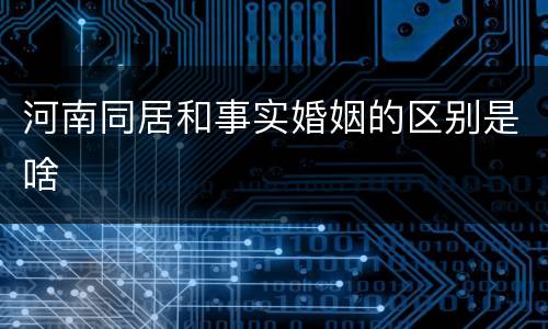 河南同居和事实婚姻的区别是啥