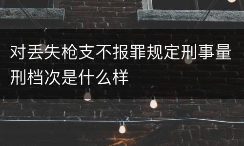对丢失枪支不报罪规定刑事量刑档次是什么样