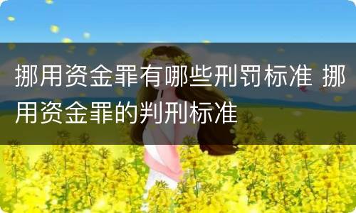 挪用资金罪有哪些刑罚标准 挪用资金罪的判刑标准