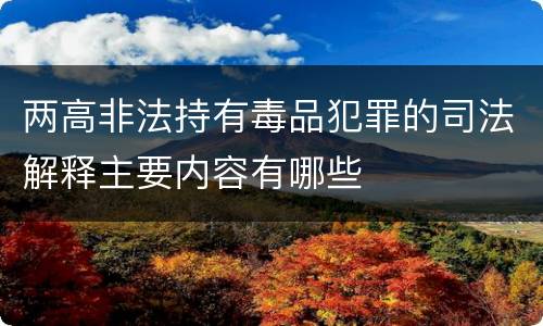 两高非法持有毒品犯罪的司法解释主要内容有哪些
