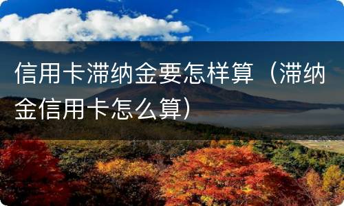 信用卡滞纳金要怎样算（滞纳金信用卡怎么算）