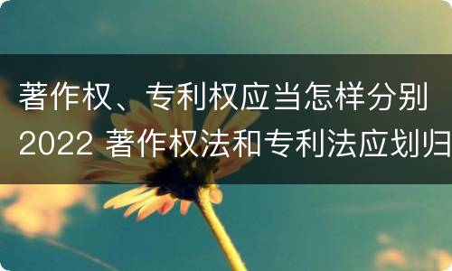 著作权、专利权应当怎样分别2022 著作权法和专利法应划归为