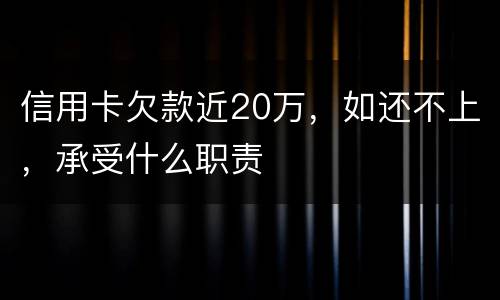 信用卡欠款近20万，如还不上，承受什么职责