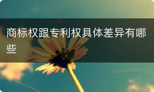 商标权跟专利权具体差异有哪些