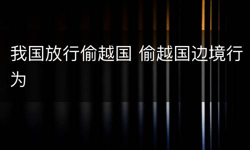 我国放行偷越国 偷越国边境行为