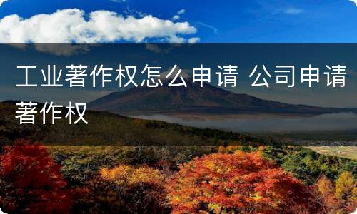 工业著作权怎么申请 公司申请著作权