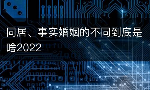 同居、事实婚姻的不同到底是啥2022