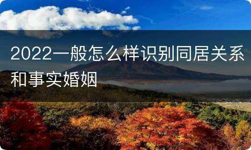 2022一般怎么样识别同居关系和事实婚姻
