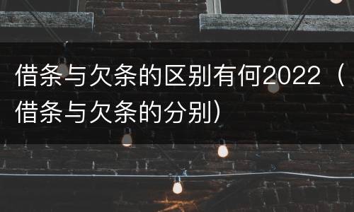 借条与欠条的区别有何2022（借条与欠条的分别）