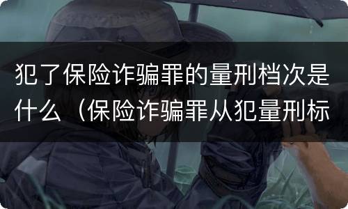 犯了保险诈骗罪的量刑档次是什么（保险诈骗罪从犯量刑标准）