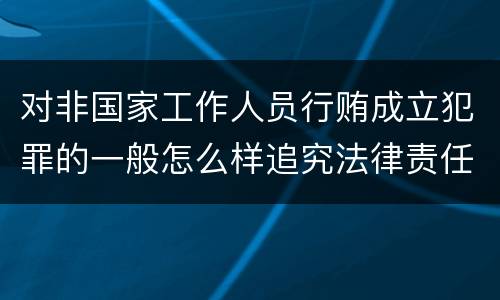对非国家工作人员行贿成立犯罪的一般怎么样追究法律责任