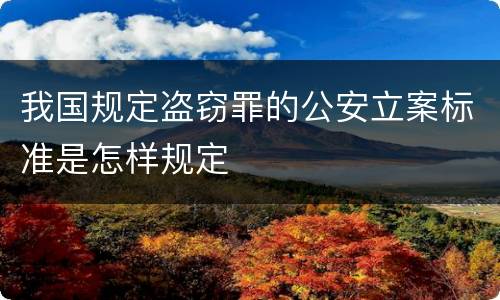 我国规定盗窃罪的公安立案标准是怎样规定