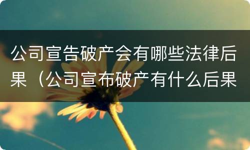公司宣告破产会有哪些法律后果（公司宣布破产有什么后果）