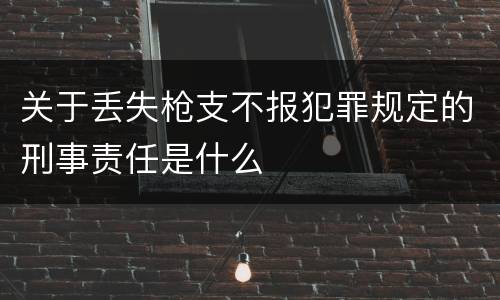 关于丢失枪支不报犯罪规定的刑事责任是什么