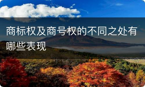 商标权及商号权的不同之处有哪些表现