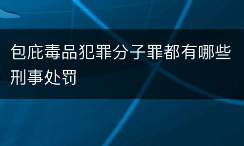 包庇毒品犯罪分子罪都有哪些刑事处罚