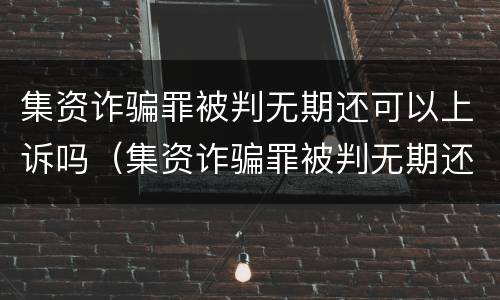 集资诈骗罪被判无期还可以上诉吗（集资诈骗罪被判无期还可以上诉吗怎么办）