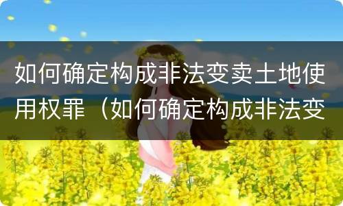 如何确定构成非法变卖土地使用权罪（如何确定构成非法变卖土地使用权罪）