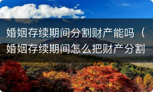 婚姻存续期间分割财产能吗（婚姻存续期间怎么把财产分割清楚有法律效果）