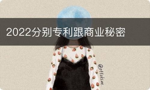2022分别专利跟商业秘密