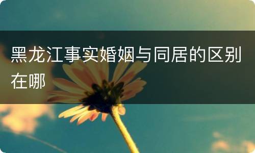 黑龙江事实婚姻与同居的区别在哪