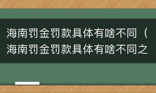 海南罚金罚款具体有啥不同（海南罚金罚款具体有啥不同之处）