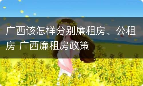 广西该怎样分别廉租房、公租房 广西廉租房政策