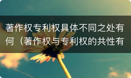 著作权专利权具体不同之处有何（著作权与专利权的共性有）