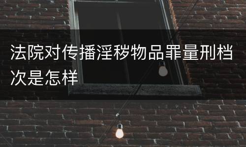 法院对传播淫秽物品罪量刑档次是怎样