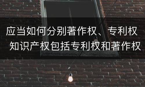 应当如何分别著作权、专利权 知识产权包括专利权和著作权吗