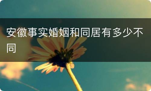 安徽事实婚姻和同居有多少不同