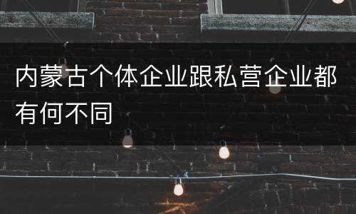 内蒙古个体企业跟私营企业都有何不同