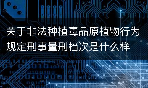 关于非法种植毒品原植物行为规定刑事量刑档次是什么样