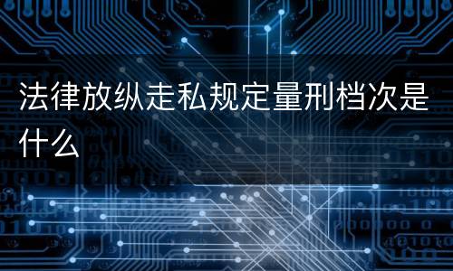 法律放纵走私规定量刑档次是什么