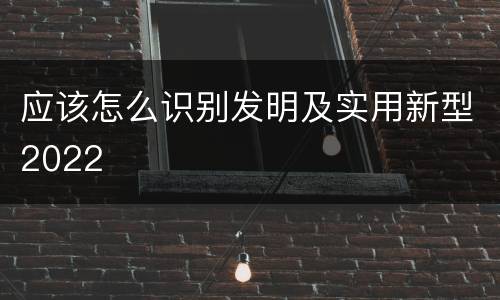 应该怎么识别发明及实用新型2022